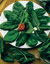 Hellcat Hybrid Spinach Seeds
