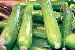 Spacemiser Zucchini Seeds