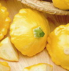 Sunburst Summer Squash Seeds