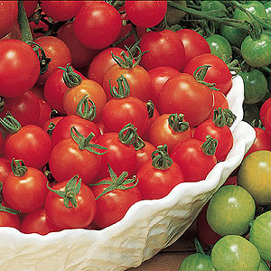 Sweet Million Cherry Tomato Seeds
