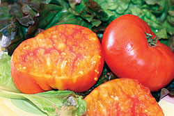 Brandywine Heirloom Tomato Seeds