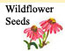 Wildflower Seeds