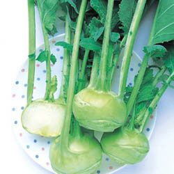 Winner F1 Kohlrabi Seeds