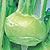 Kohlrabi Seeds