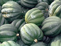Table Ace F1 Winter Squash Seeds