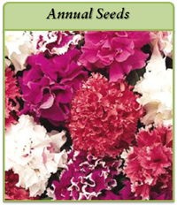 annual-seeds-logo2.png annual-seeds-logo2.png