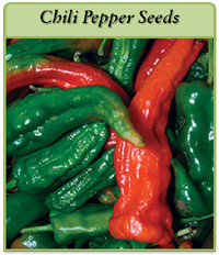 Chili Pepper Seeds chili-pepper-seeds-logo.png