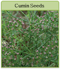 Cumin Seeds