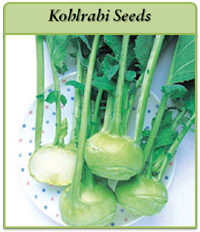 Kohlrabi Seeds kohlrabi-seeds-logo.png