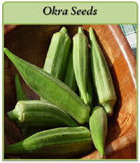 Okra Seeds okra-seeds-logo.png
