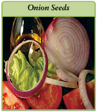 Onion Seeds onion-seeds-logo.png