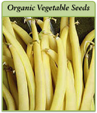 Organic Vegetable Seeds organic-vegetable-seeds-logo.png