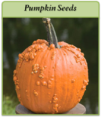 Pumpkin Seeds pumpkin-seeds-logo.png