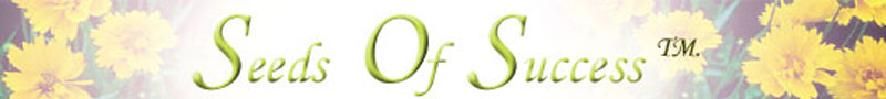 Seeds Of Success Seeds Of Success