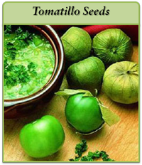 Tomatillo Seeds tomatillo-seeds-logo.png