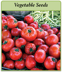 vegetable-seeds-logo.png vegetable-seeds-logo.png