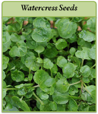 Watercress Seeds watercress-seeds-logo.png