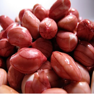 Peanut Organic Sprouting Seeds