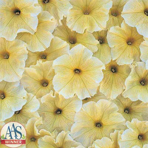 Prism Sunshine Petunia