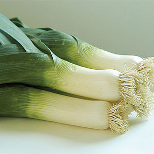 Organic Leek  Alto