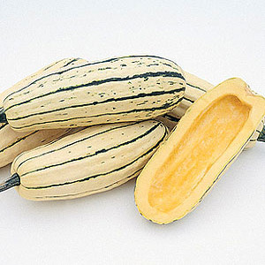 Organic Winter Squash Seeds, Delicata Zeppelin