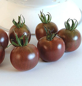 Organic Tomato Black Cherry-OP