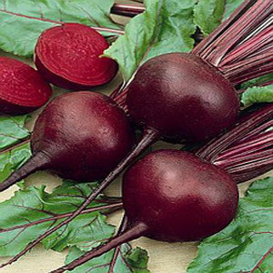 BEET DETROIT DARK RED