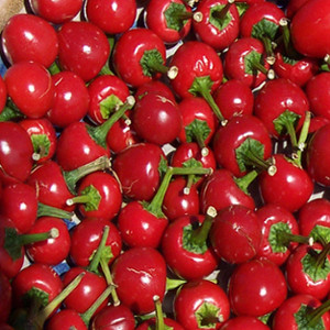 PEPPER RED CHERRY HOT