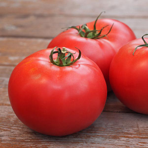 TOMATO BEST BOY