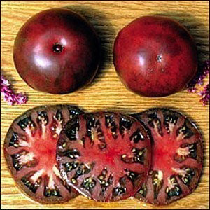 TOMATO BLACK KRIM