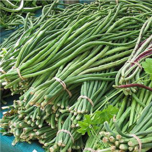 Gita Asian Pole Bean