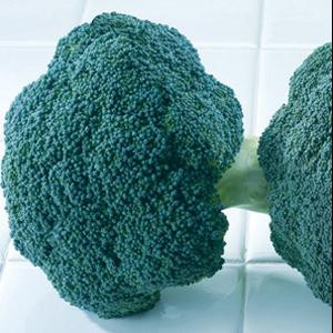 Destiny Broccoli