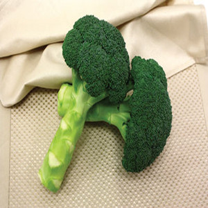 Green Magic Broccoli