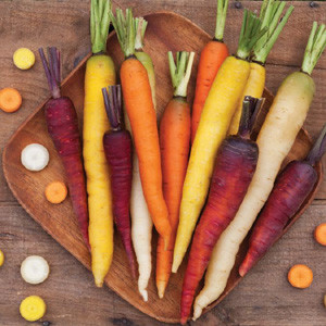 Rainbow Mix Carrot