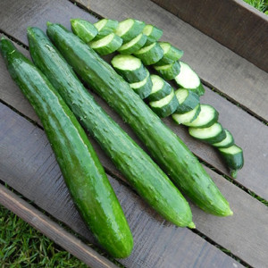 Tasty Green Cucumber