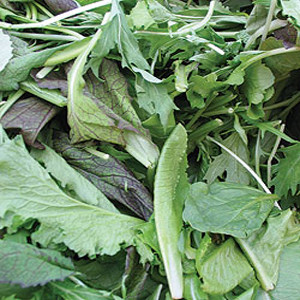 Lettuce Mesclun Mix