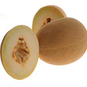 Merlin Honeydew Melon