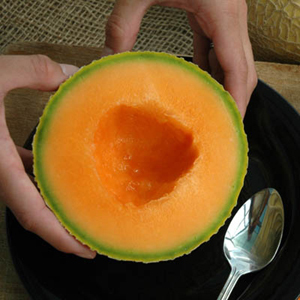Sugar Cube Melon
