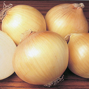 Sweet Spanish Yellow Onion