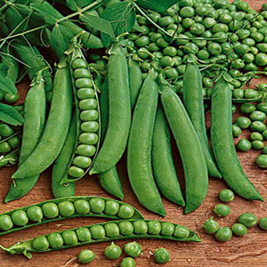 Green Arrow Pea Seeds