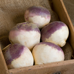 Helenor Rutabaga