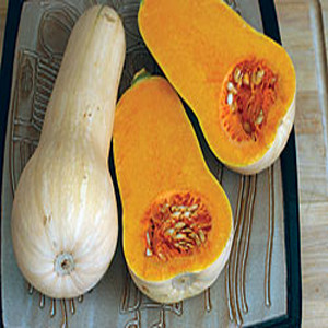 Butternut Waltham Winter Squash