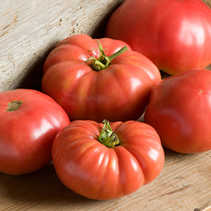 German Johnson OP Tomato