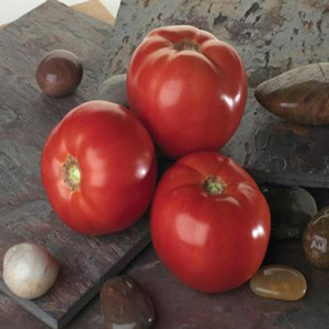 Bella Rosa Tomato Seeds