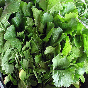 Southern Turnip Greens