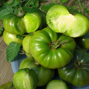 Aunt Ruby's German Green Heirloom OP Tomato