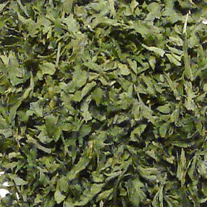 Chili Pepper Flakes Green Jalapeno OG