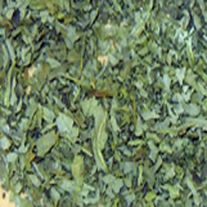 Sage Leaf Crushed Dalmatian #1