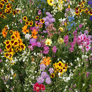 Golf Course Wildflower Seed Mix