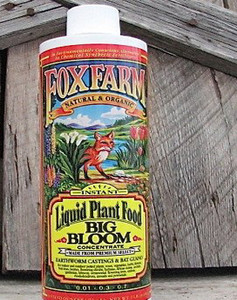 Plant Food -Liquid Concentrate-Fox Farm - Big Bloom